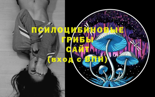 спиды Белокуриха