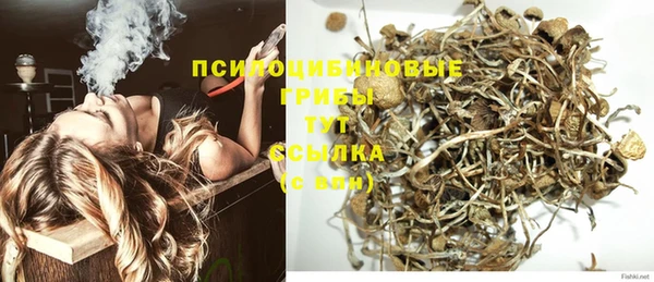 шишки Сясьстрой