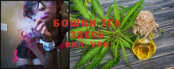 PSILOCYBIN Беломорск