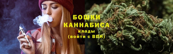 PSILOCYBIN Беломорск