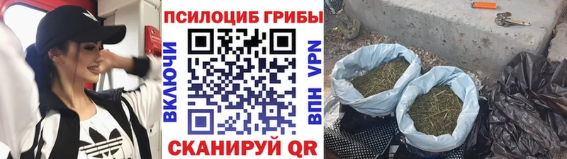 Галлюциногенные грибы мухоморы  Гатчина 