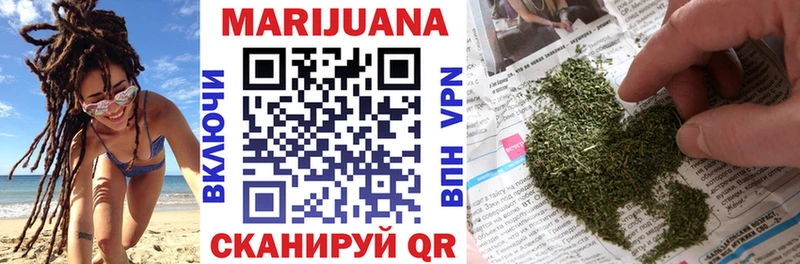 Бошки Шишки планчик  Гатчина 